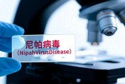 印度西孟加拉邦暴发尼帕病毒疫情，周边国家加强防控