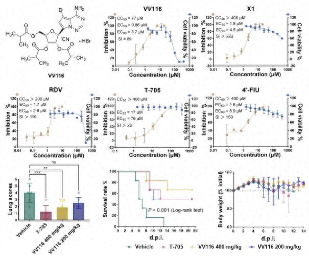 疫情_疫情疫情宣传政策_疫情是哪一年开始的