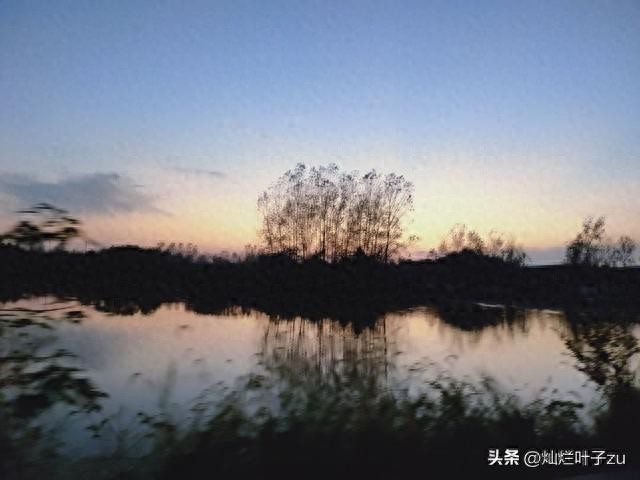 疫情_火神山医院建设速度_中国抗疫经验