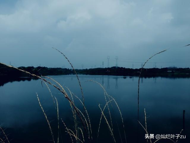 火神山医院建设速度_疫情_中国抗疫经验
