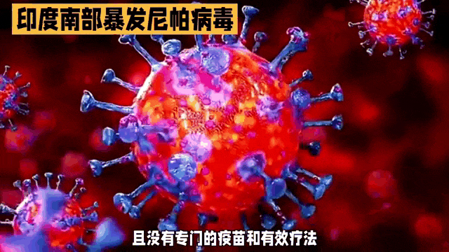 资本游戏逻辑与普通人直觉背道而驰_疫情剧本如何影响美股加密市场_疫情