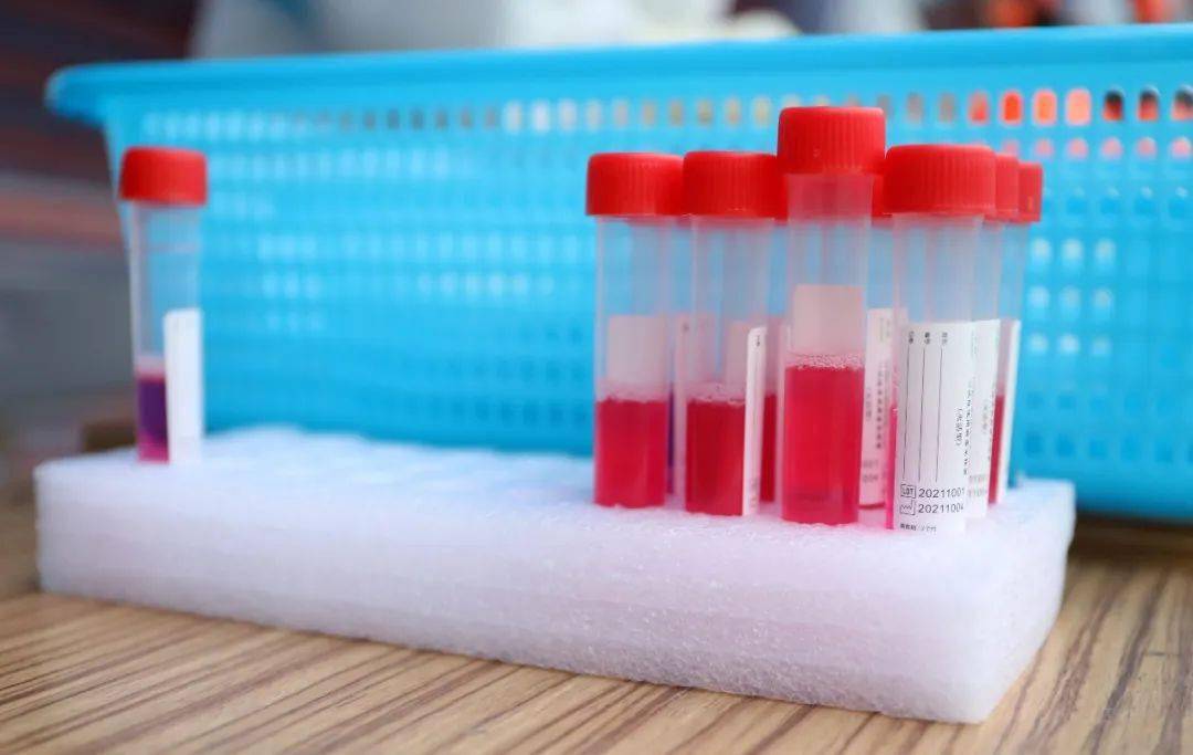 学校教职员工疫情防控期间行为指引_高等学校新冠肺炎疫情防控技术方案 第五版_疫情