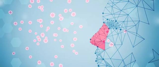 疫情经济政策应对_疫情经济市场分析_疫情