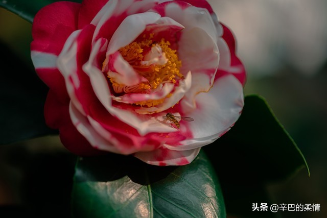 情感困惑与人性复杂性_疫情中的人际信任关系_疫情