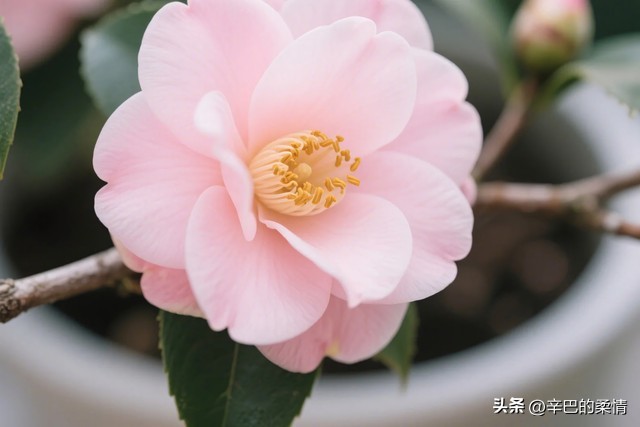 情感困惑与人性复杂性_疫情中的人际信任关系_疫情