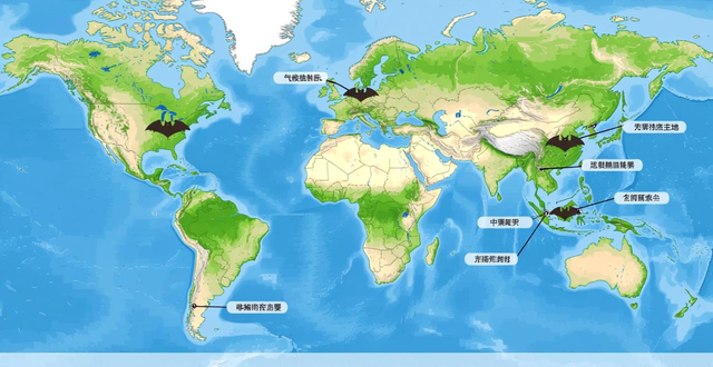 尼帕病毒疫情_尼帕病毒传播途径_疫情