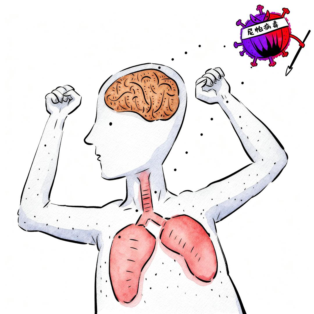 疫情_尼帕病毒疫情_尼帕病毒传播途径