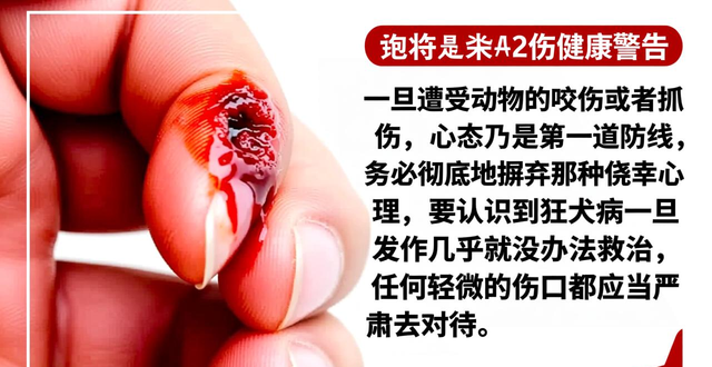 狂犬病疫情风险防控说明书_疫情_触目惊心的反弹数据