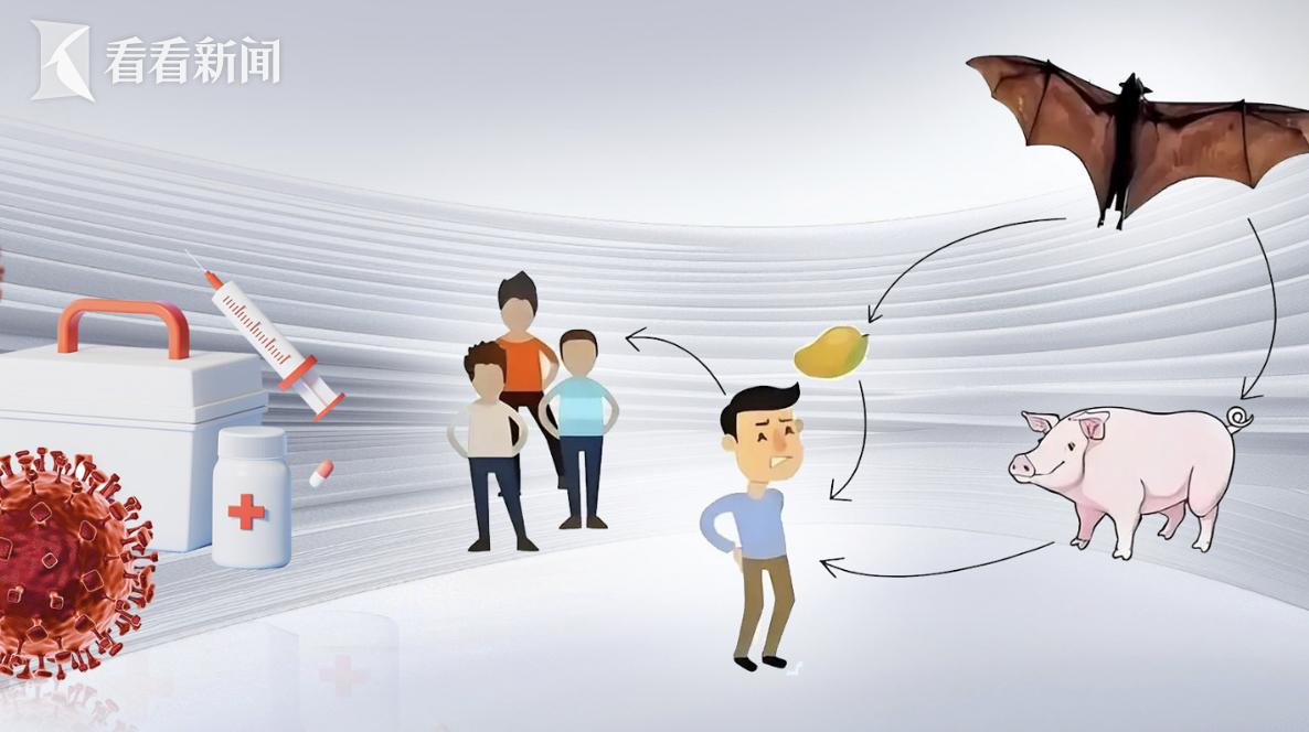 疫情_尼帕病毒传播途径_尼帕病毒疫情