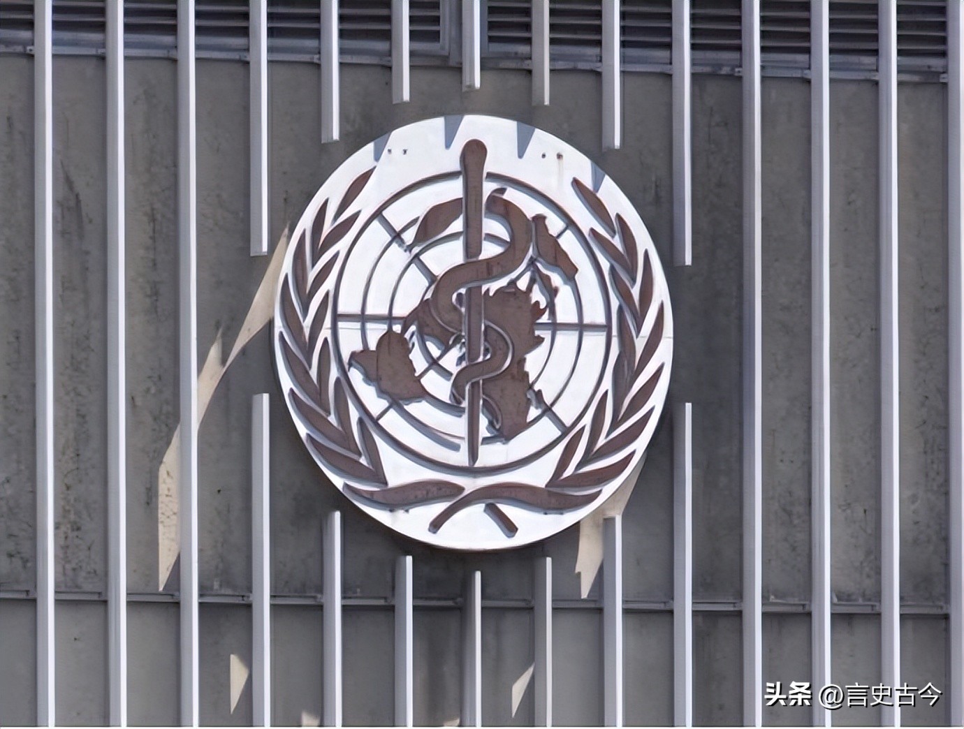 尼帕病毒疫情_印度尼帕病毒疫情_疫情