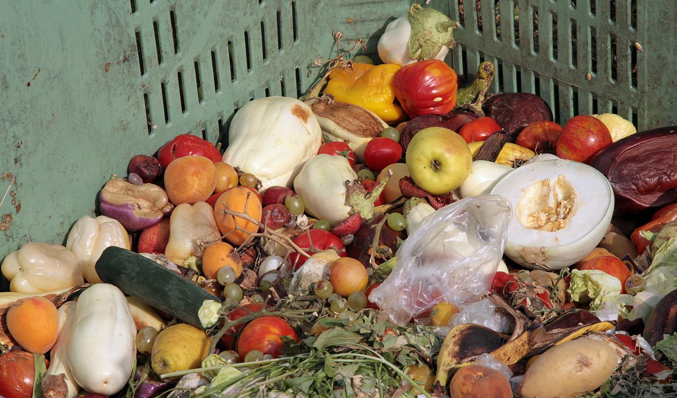 尼帕病毒是什么 防止尼帕病毒感染 家庭常备防疫物资_疫情