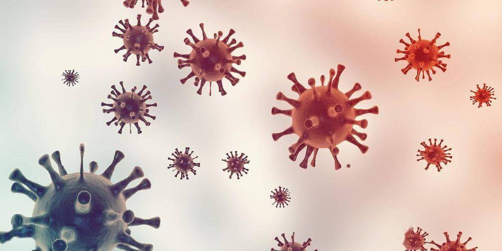 疫情_尼帕病毒是什么 防止尼帕病毒感染 家庭常备防疫物资