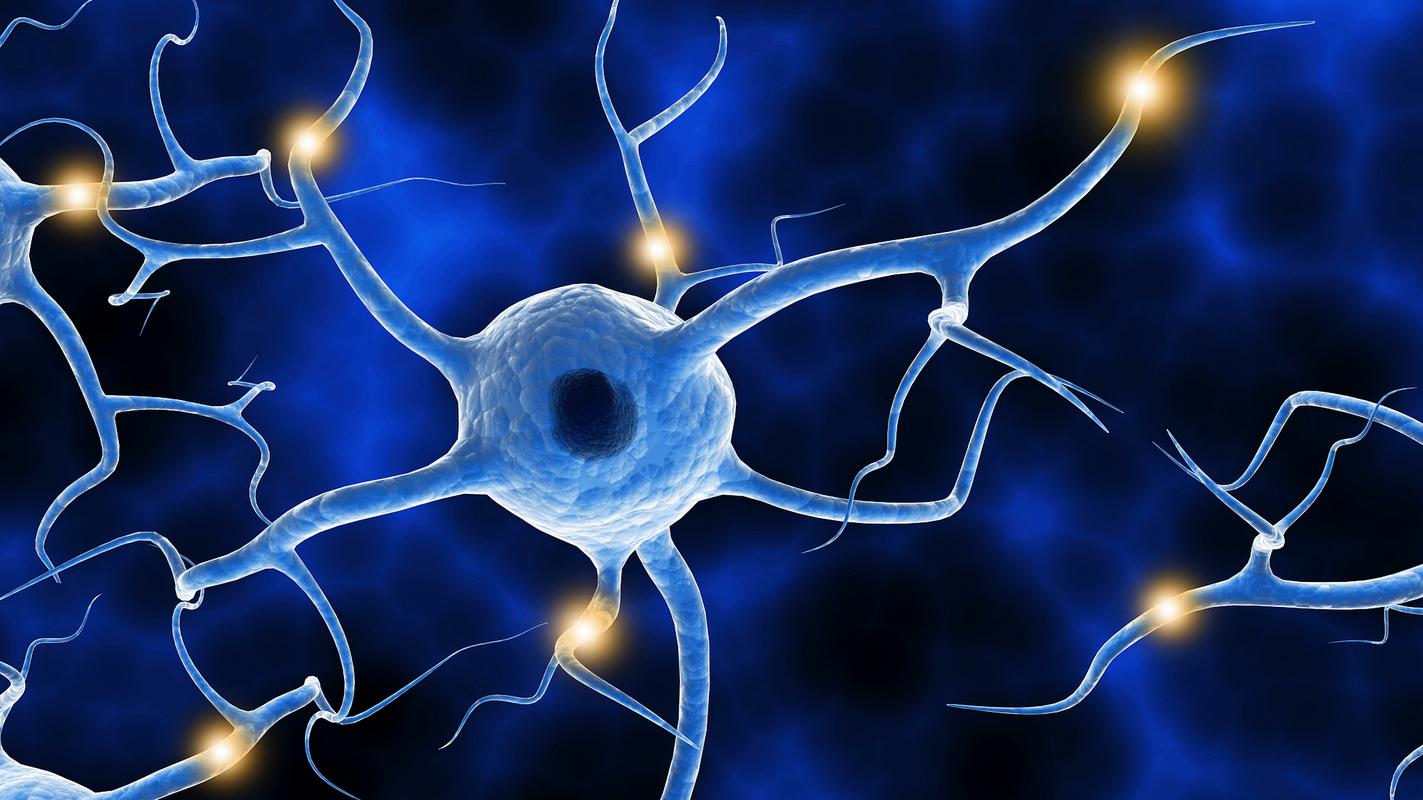 疫情_尼帕病毒是什么 防止尼帕病毒感染 家庭常备防疫物资