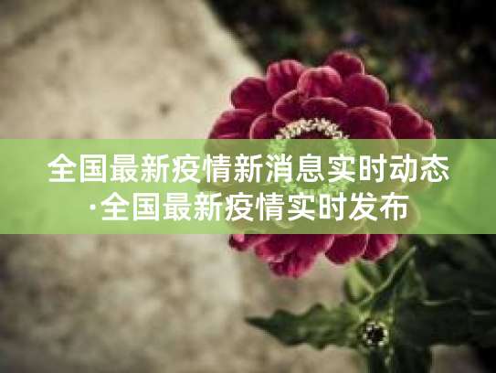 全国最新疫情新消息实时动态·全国最新疫情实时发布