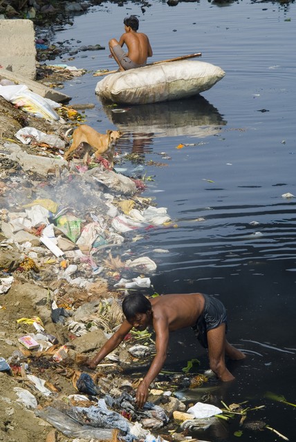 尼帕病毒 印度 疫情防控_疫情