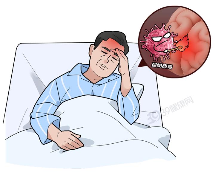 疫情_尼帕病毒传播途径_尼帕病毒疫情