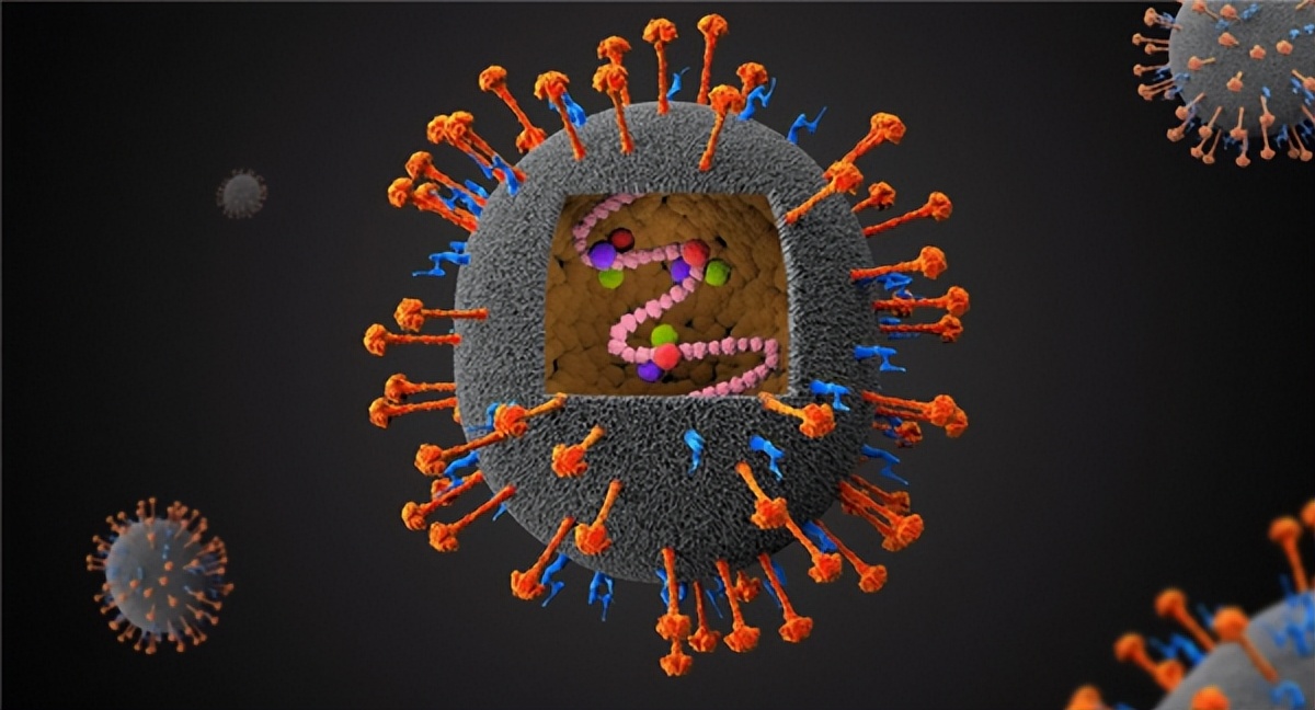 尼帕病毒疫情_尼帕病毒感染症状_疫情