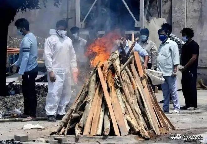 尼帕病毒 印度 人畜共患_疫情