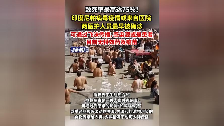 尼帕病毒 印度 人畜共患_疫情