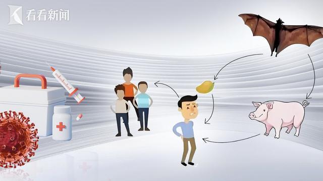 尼帕病毒疫情_尼帕病毒传播途径_疫情