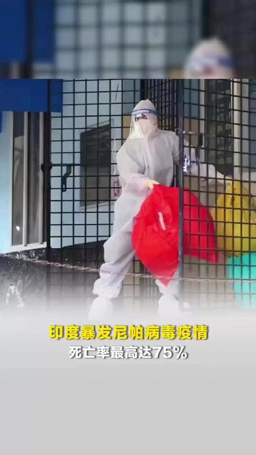 尼帕病毒致病性分析_疫情_尼帕病毒入境监控